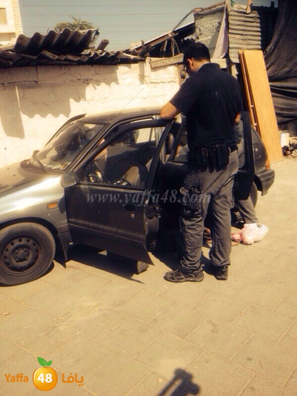 oilice old man3 (6).JPG